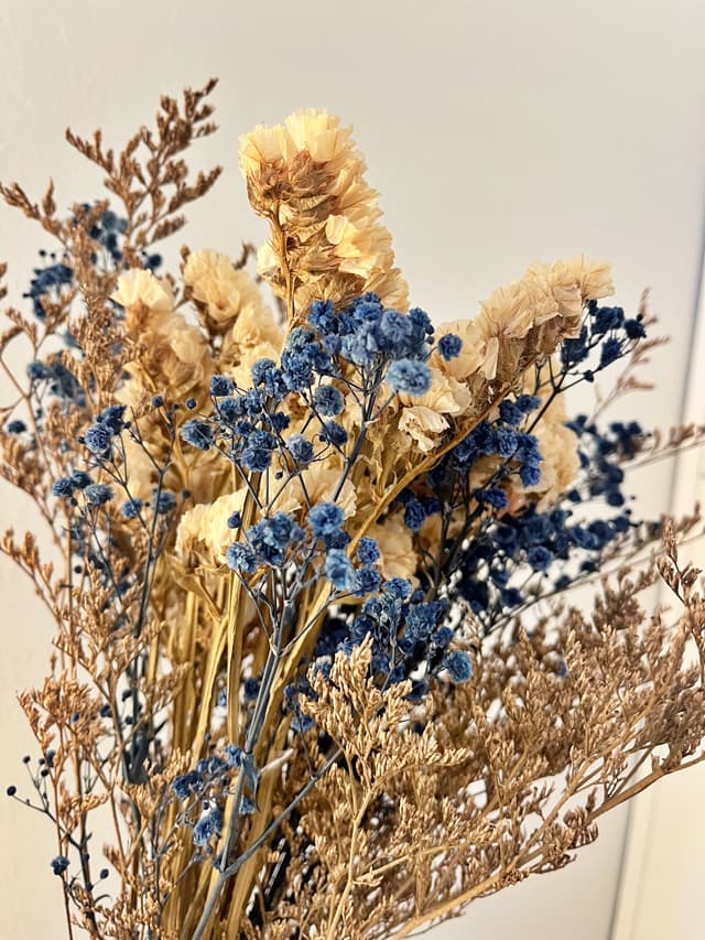 Almofadas do consultório